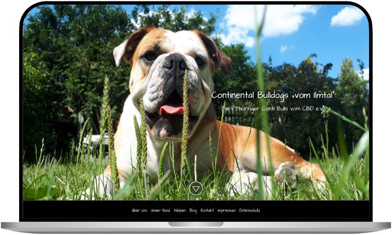 Ilmtal bulldogs weimar Desktop